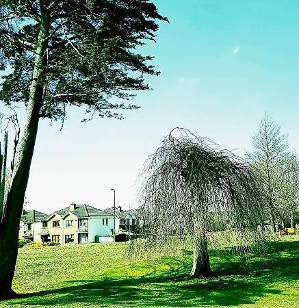 Homestay Airport Comfy House Dublin